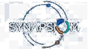 Logo SYNAPSIOM en version sombre